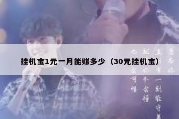 挂机宝1元一月能赚多少（30元挂机宝）