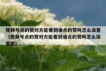 视频号点的赞对方能看到谁点的赞吗怎么设置（视频号点的赞对方能看到谁点的赞吗怎么设置呢）