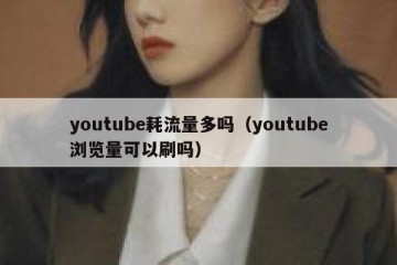 youtube耗流量多吗（youtube浏览量可以刷吗）