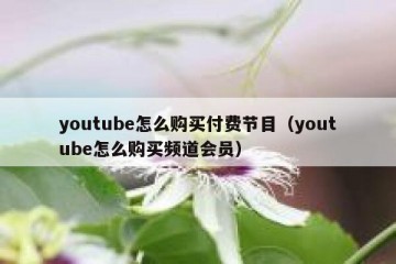 youtube怎么购买付费节目（youtube怎么购买频道会员）