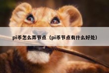 pi币怎么弄节点（pi币节点有什么好处）