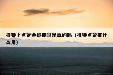 推特上点赞会被抓吗是真的吗（推特点赞有什么用）