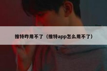 推特咋用不了（推特app怎么用不了）