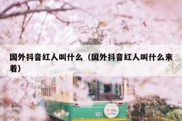 国外抖音红人叫什么（国外抖音红人叫什么来着）