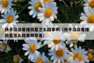 快手没法看播放量怎么回事啊（快手没法看播放量怎么回事啊苹果）