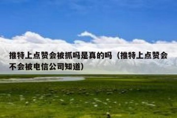 推特上点赞会被抓吗是真的吗（推特上点赞会不会被电信公司知道）