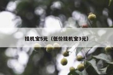 挂机宝5元（低价挂机宝3元）