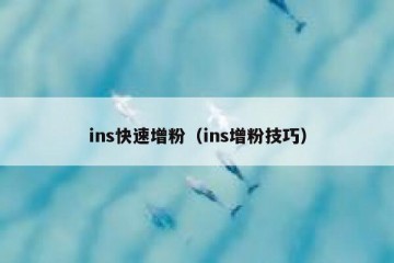 ins快速增粉（ins增粉技巧）
