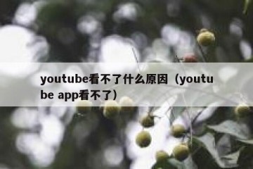 youtube看不了什么原因（youtube app看不了）