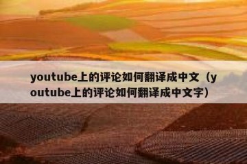 youtube上的评论如何翻译成中文（youtube上的评论如何翻译成中文字）
