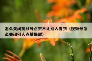 怎么关闭视频号点赞不让别人看到（视频号怎么关闭别人点赞提醒）