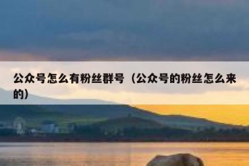 公众号怎么有粉丝群号（公众号的粉丝怎么来的）