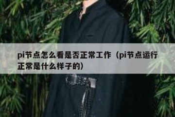 pi节点怎么看是否正常工作（pi节点运行正常是什么样子的）