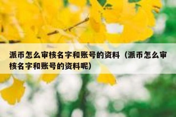 派币怎么审核名字和账号的资料（派币怎么审核名字和账号的资料呢）