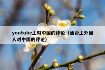 youtube上对中国的评论（油管上外国人对中国的评论）