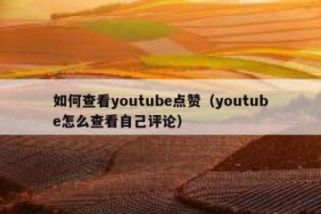 如何查看youtube点赞（youtube怎么查看自己评论）