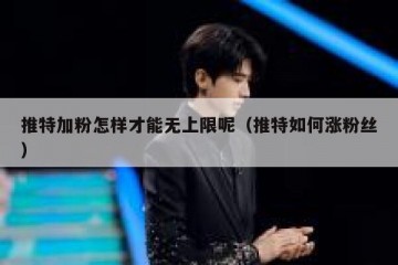 推特加粉怎样才能无上限呢（推特如何涨粉丝）