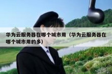 华为云服务器在哪个城市用（华为云服务器在哪个城市用的多）