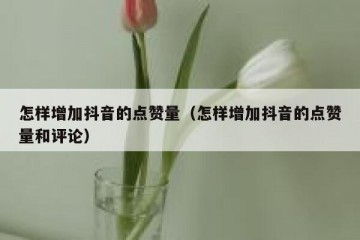 怎样增加抖音的点赞量（怎样增加抖音的点赞量和评论）