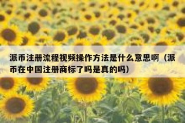 派币注册流程视频操作方法是什么意思啊（派币在中国注册商标了吗是真的吗）