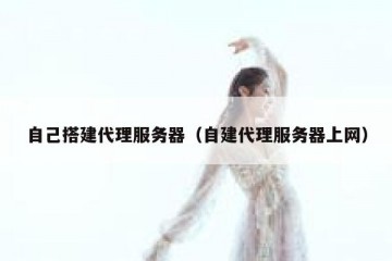 自己搭建代理服务器（自建代理服务器上网）