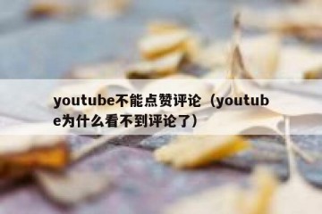 youtube不能点赞评论（youtube为什么看不到评论了）