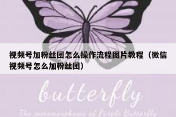 视频号加粉丝团怎么操作流程图片教程（微信视频号怎么加粉丝团）