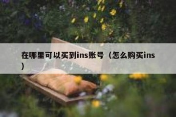 在哪里可以买到ins账号（怎么购买ins）