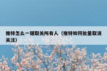 推特怎么一键取关所有人（推特如何批量取消关注）