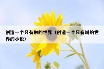 创造一个只有琳的世界（创造一个只有琳的世界的小说）