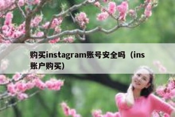 购买instagram账号安全吗（ins账户购买）