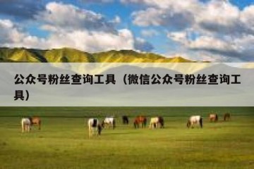 公众号粉丝查询工具（微信公众号粉丝查询工具）