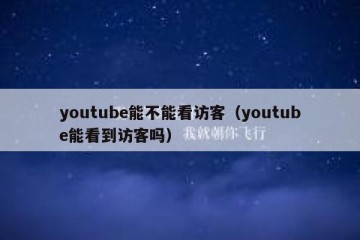 youtube能不能看访客（youtube能看到访客吗）