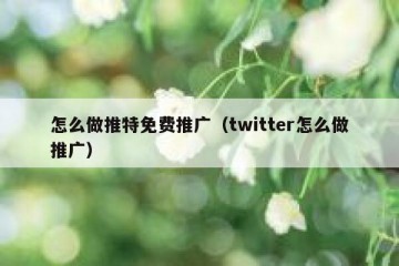 怎么做推特免费推广（twitter怎么做推广）