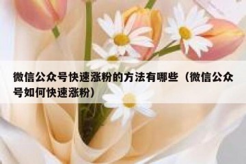 微信公众号快速涨粉的方法有哪些（微信公众号如何快速涨粉）