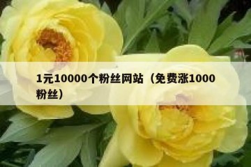 1元10000个粉丝网站（免费涨1000粉丝）