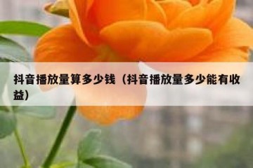 抖音播放量算多少钱（抖音播放量多少能有收益）