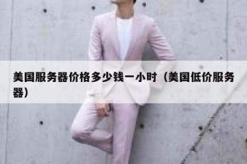 美国服务器价格多少钱一小时（美国低价服务器）