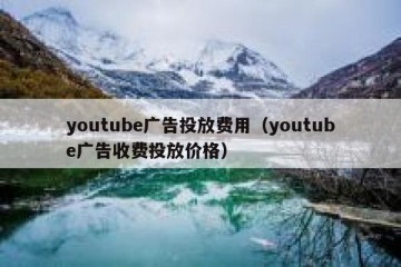 youtube广告投放费用（youtube广告收费投放价格）