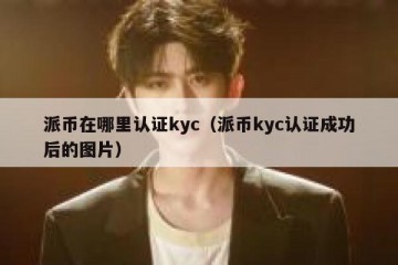 派币在哪里认证kyc（派币kyc认证成功后的图片）