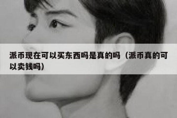派币现在可以买东西吗是真的吗（派币真的可以卖钱吗）