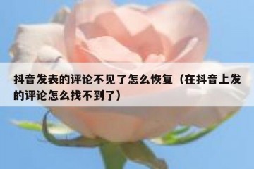 抖音发表的评论不见了怎么恢复（在抖音上发的评论怎么找不到了）