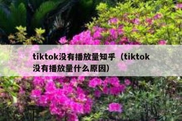 tiktok没有播放量知乎（tiktok没有播放量什么原因）