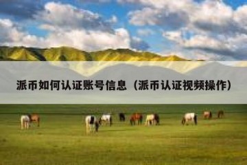 派币如何认证账号信息（派币认证视频操作）