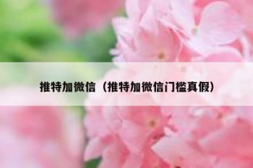 推特加微信（推特加微信门槛真假）