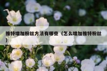 推特增加粉丝方法有哪些（怎么增加推特粉丝）
