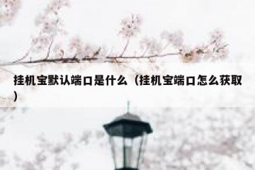 挂机宝默认端口是什么（挂机宝端口怎么获取）