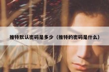 推特默认密码是多少（推特的密码是什么）