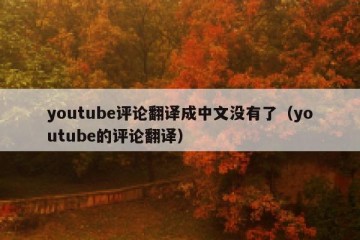 youtube评论翻译成中文没有了（youtube的评论翻译）