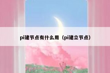 pi建节点有什么用（pi建立节点）